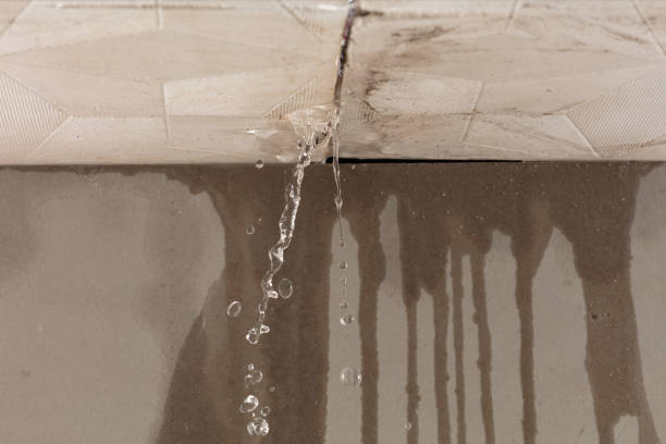 Professional Structural Drying technician working in Glenford, OH
